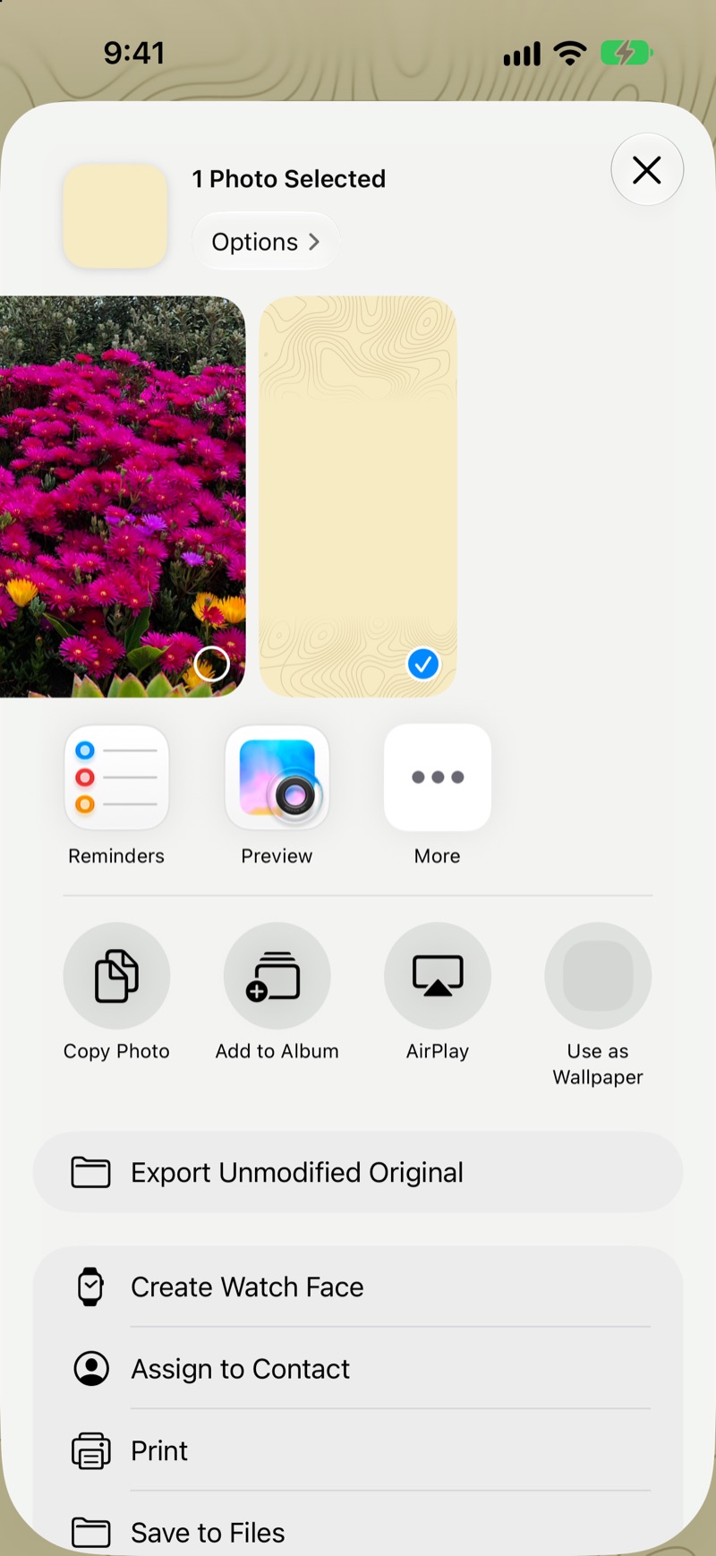 The Photos share sheet with a Bush Glass wallpaper selected and Use as Wallpaper